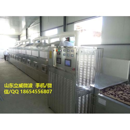 济南连续式微波干燥食品生产线