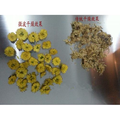 菊花微波杀青机|菊花微波杀青机厂家直销