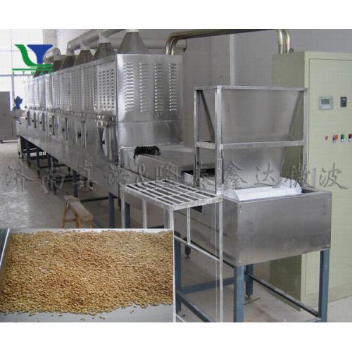 小麦胚芽微波烘干设备