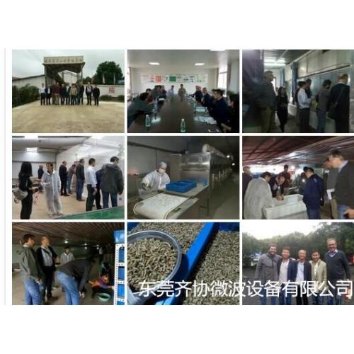 微波黑水虻烘干设备|微波黑水虻烘干设备厂家