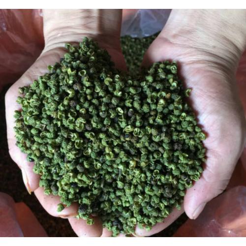 新鲜青花椒带叶烘干机械花椒烘干机