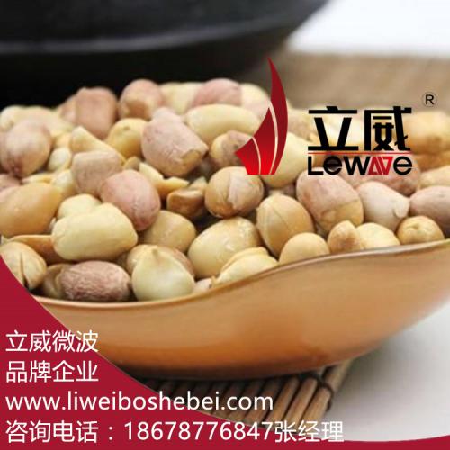 流水线式五香花生微波烘焙设备