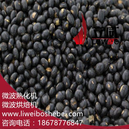 厂家定制五谷杂粮微波熟化设备