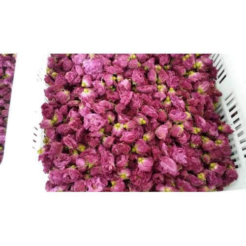 玫瑰花微波干燥杀青设备