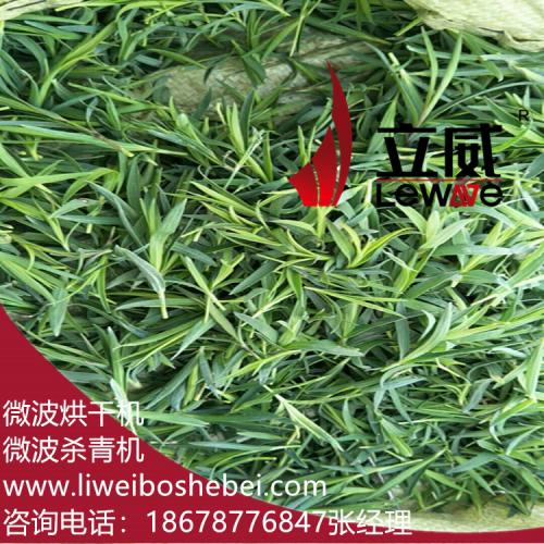 厂家定制茶叶微波杀青设备