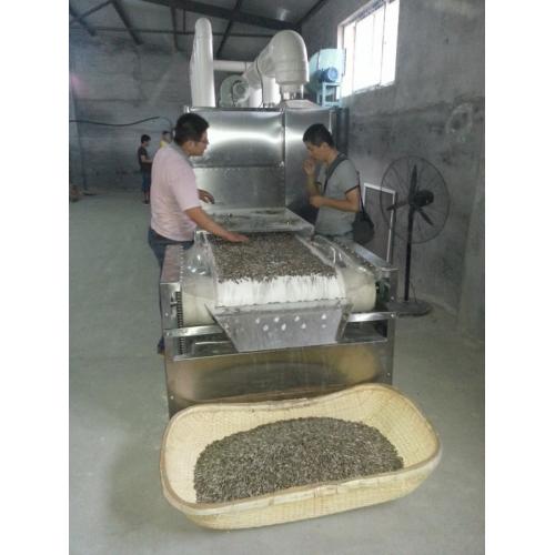 原味瓜子熟化设备