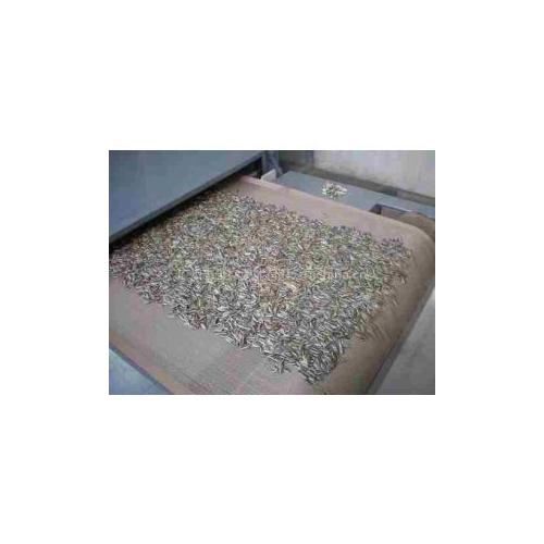 微波瓜子干燥设备