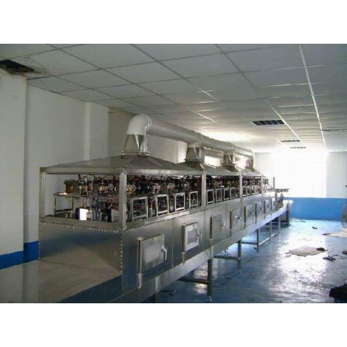 无花果微波干燥设备