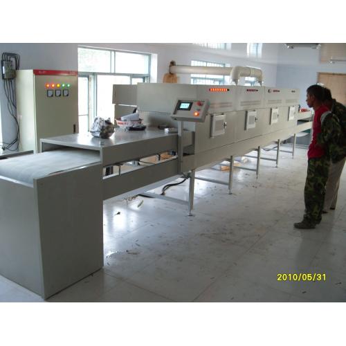 微波蔬菜漂烫设备