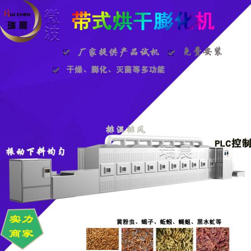 现货型黑水虻昆虫微波烘干设备隧道炉