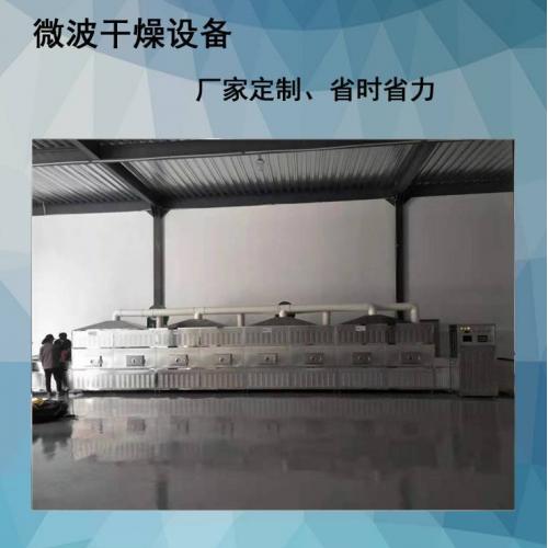 沃斯特定制微波巴沙木烘干设备WST-40HMV隧道式轻木干燥