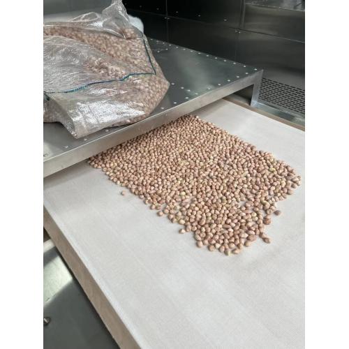 花生米微波烘焙设备 五香花生微波烘焙 科尔微波厂家