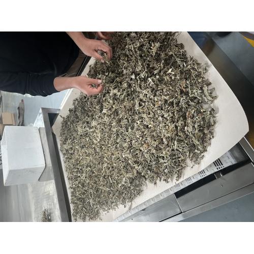 科尔艾叶微波杀菌机 低温锁香 防霉防虫 延长保质期